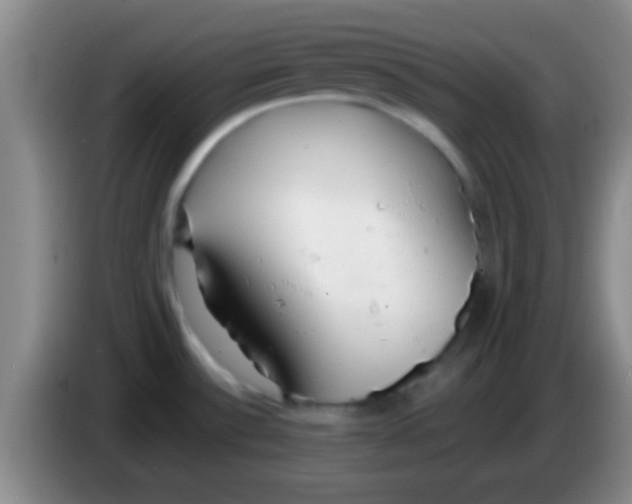 X0000084011532200703091916