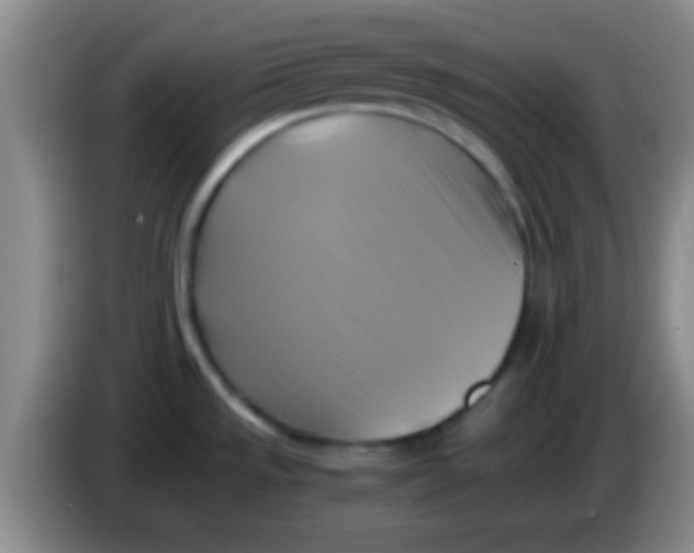 X0000084011533200703091916