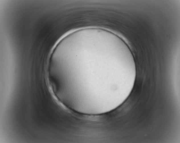 X0000084011534200703091916