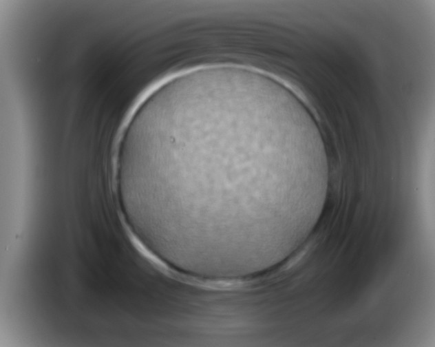 X0000084011535200703091916