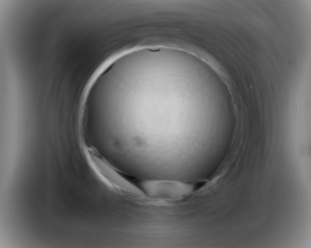 X0000084011536200703091916