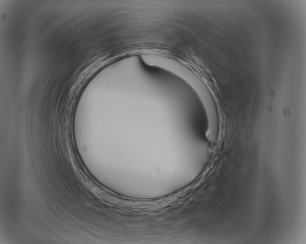 X0000084010001200703161726