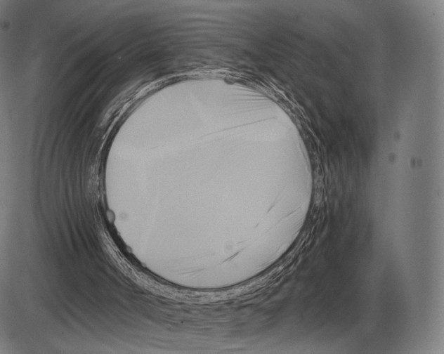 X0000084010002200703161726