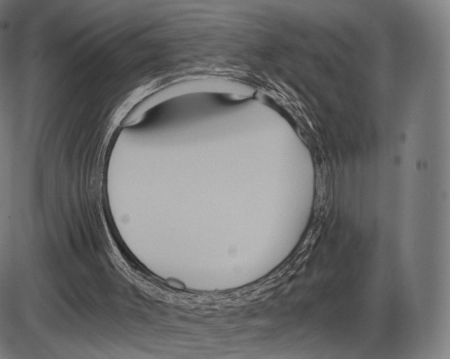 X0000084010003200703161726