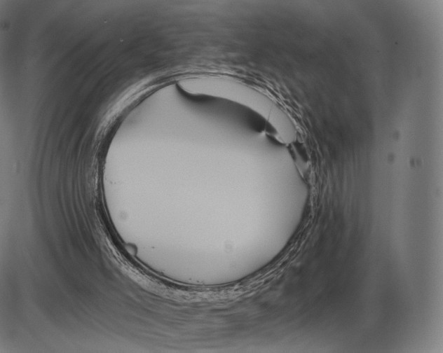 X0000084010005200703161726