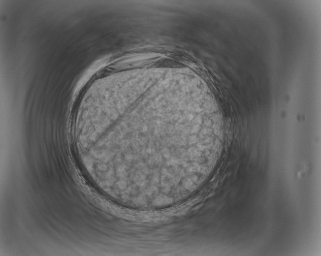 X0000084010006200703161726