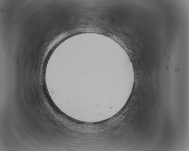 X0000084010008200703161725