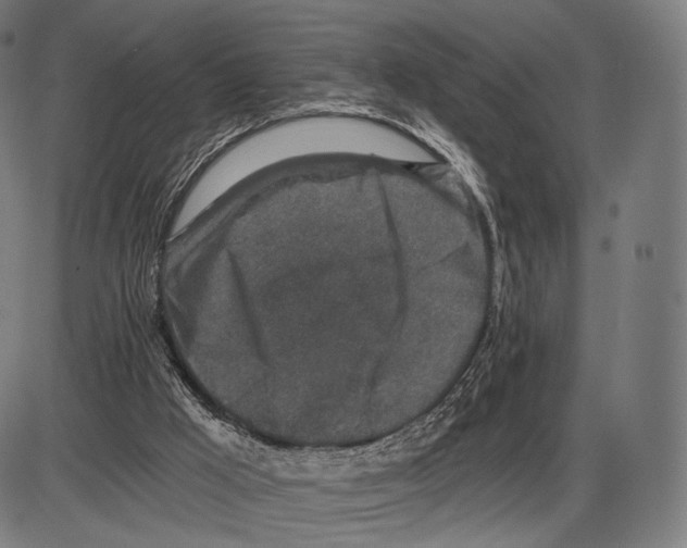 X0000084010009200703161725