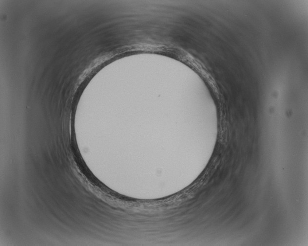 X0000084010011200703161725