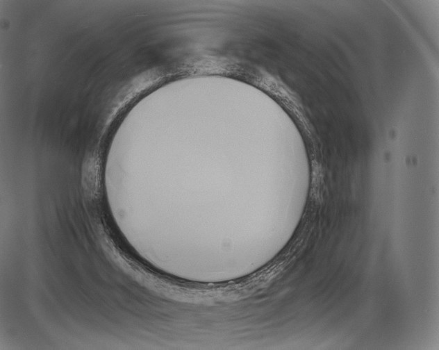 X0000084010012200703161725