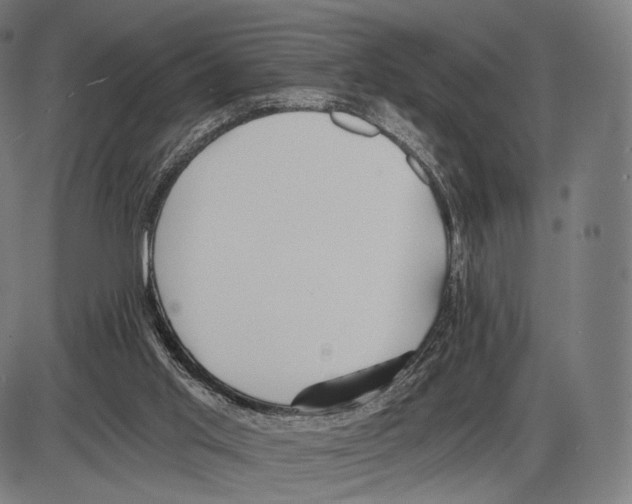 X0000084010013200703161725