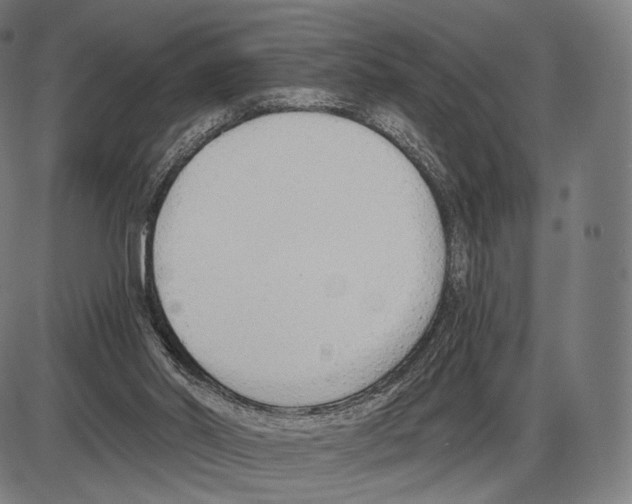 X0000084010014200703161725