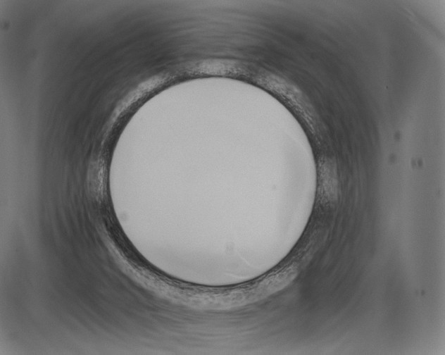 X0000084010016200703161725