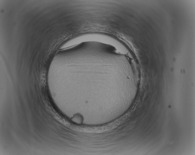 X0000084010017200703161725