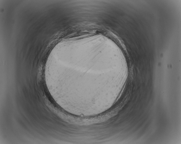 X0000084010018200703161725