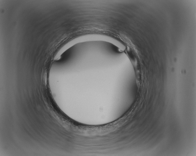 X0000084010021200703161725