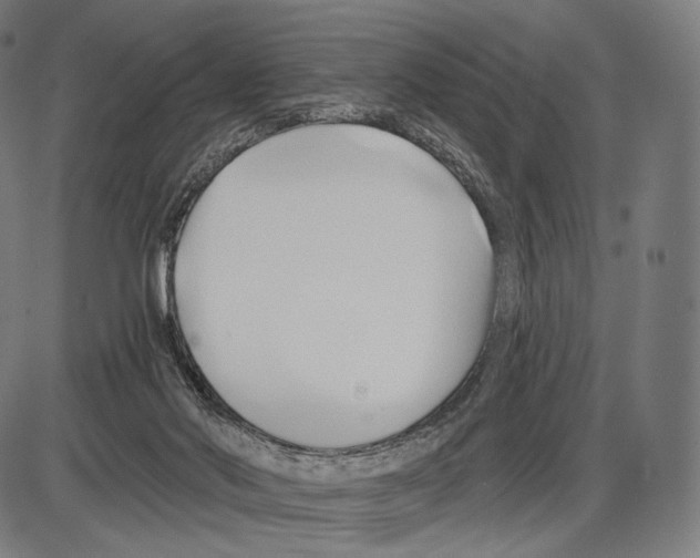 X0000084010022200703161725