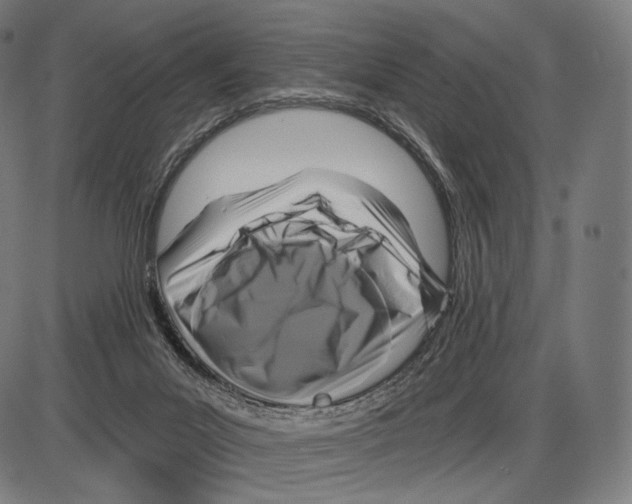 X0000084010023200703161725