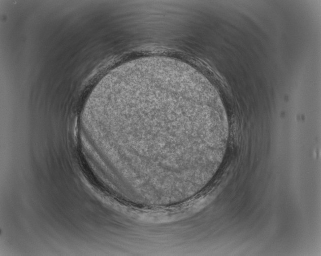 X0000084010024200703161725