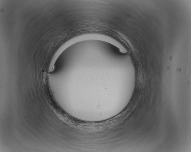 X0000084010025200703161725