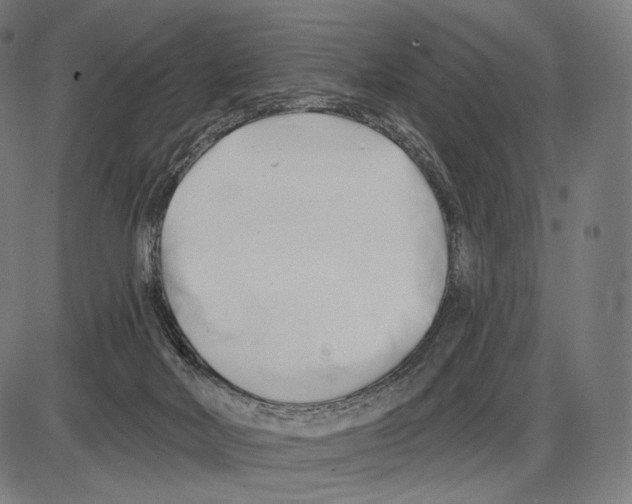 X0000084010026200703161725