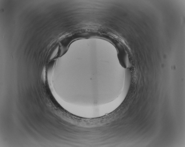 X0000084010027200703161725