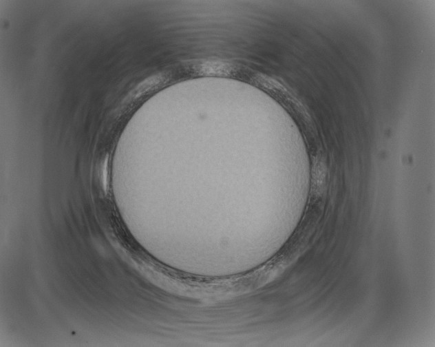 X0000084010028200703161725