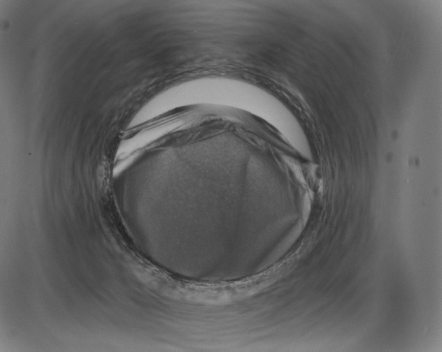 X0000084010029200703161725