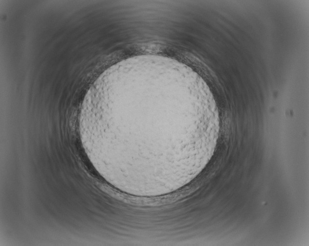 X0000084010030200703161725