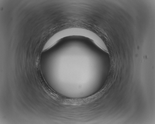 X0000084010033200703161725