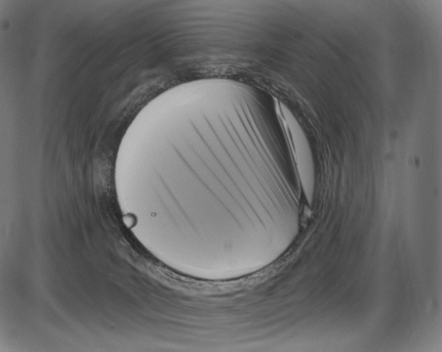 X0000084010035200703161725