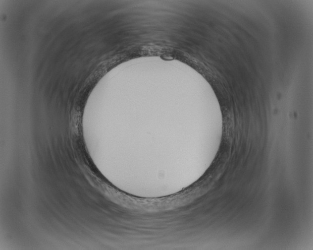 X0000084010038200703161725