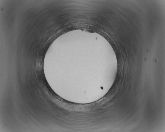 X0000084010040200703161725