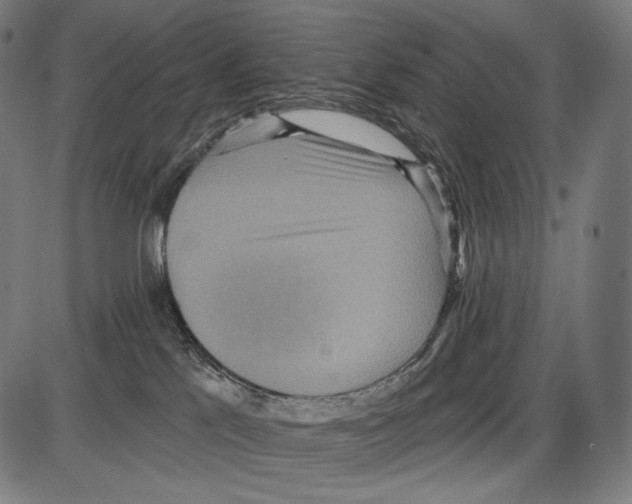 X0000084010041200703161725