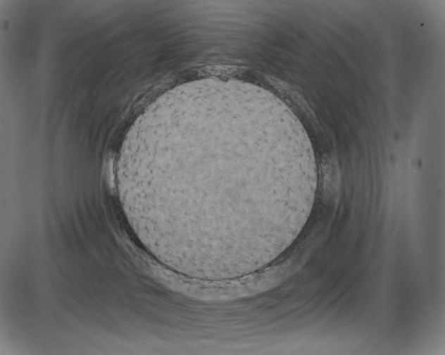 X0000084010042200703161725