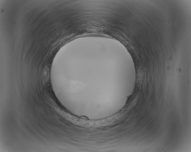 X0000084010043200703161725