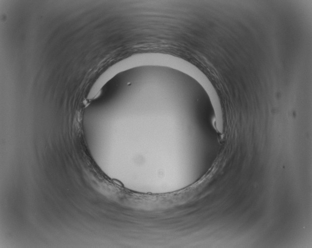 X0000084010045200703161725