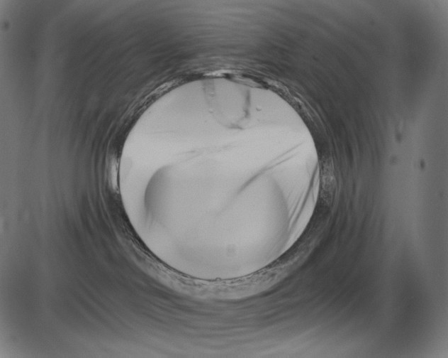 X0000084010046200703161725