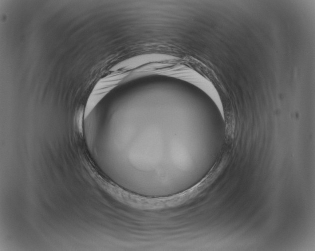 X0000084010047200703161725