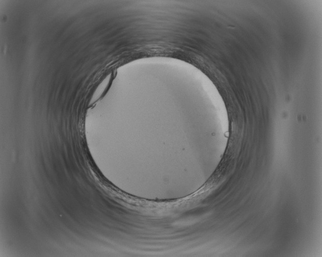 X0000084010048200703161725