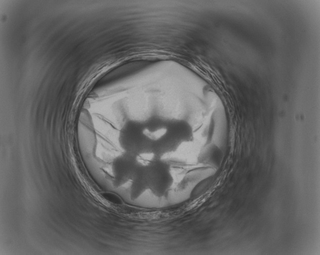 X0000084010049200703161724