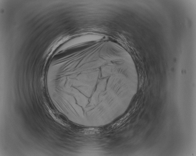 X0000084010050200703161724