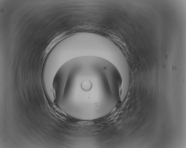 X0000084010051200703161724