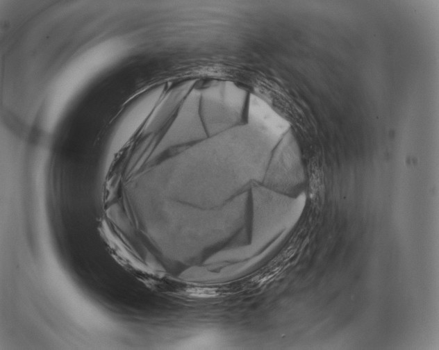 X0000084010052200703161724