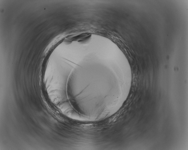 X0000084010054200703161724