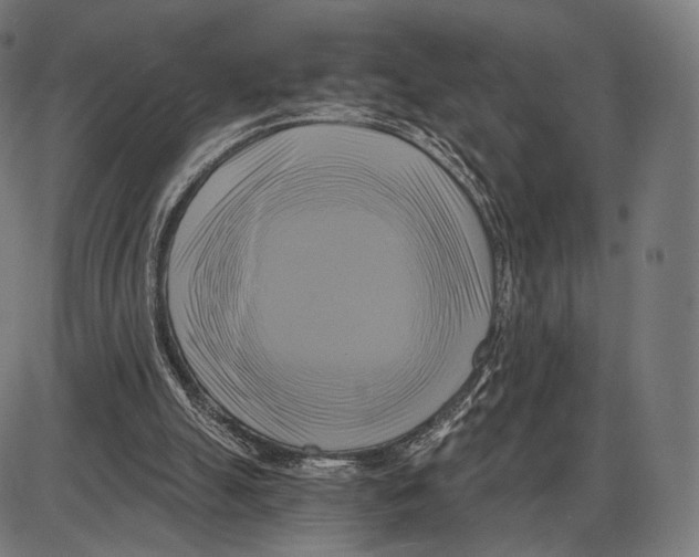 X0000084010055200703161724