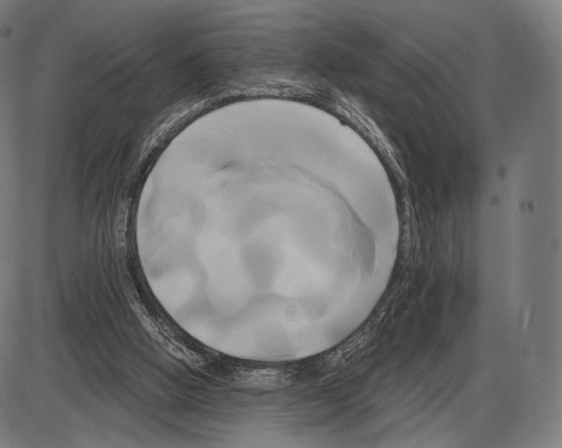 X0000084010058200703161724