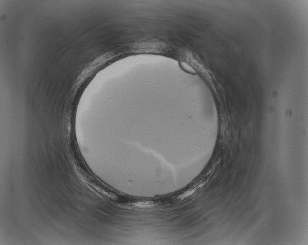 X0000084010059200703161724