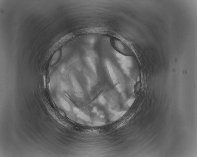 X0000084010061200703161724