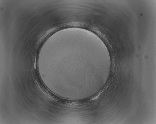 X0000084010062200703161724